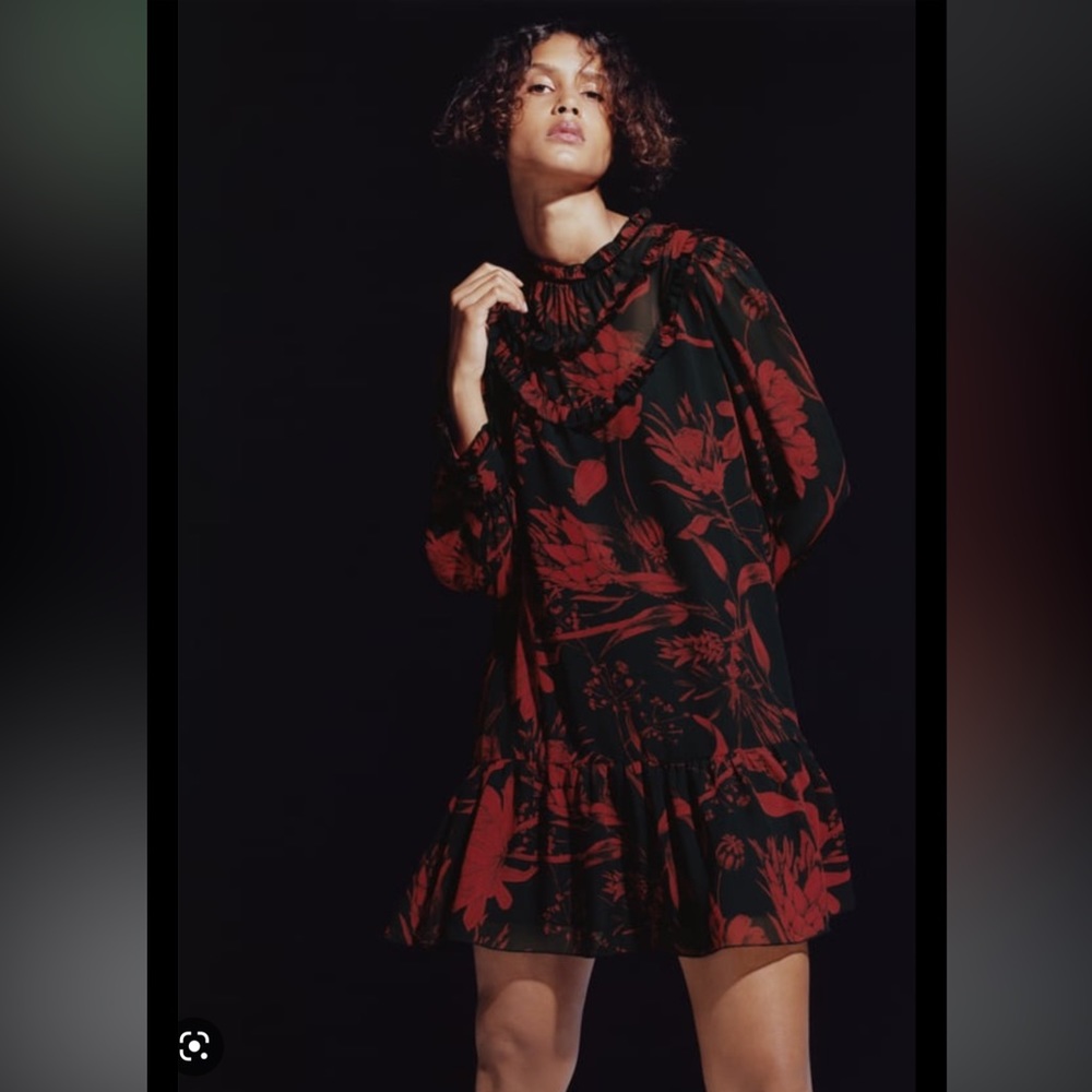 NWT ZARA FLORAL PRINT DRESS